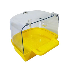 وان حمام بیرون قفس پرندگان رنگ زرد